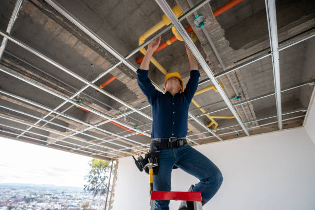 Best Water Leak Repair  in Grosse Pointe Park, MI