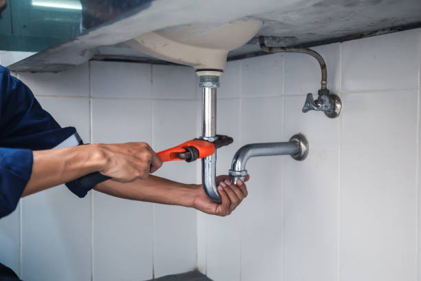 Best Emergency Plumber  in Grosse Pointe Park, MI