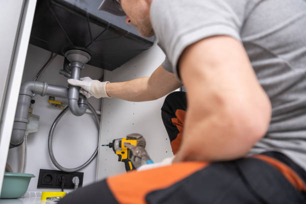 Best Clogged Drain Plumber  in Grosse Pointe Park, MI